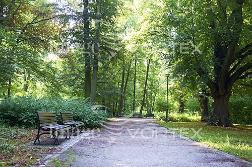 Park / outdoor royalty free stock image #346091462