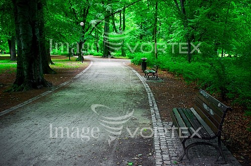 Park / outdoor royalty free stock image #347052025