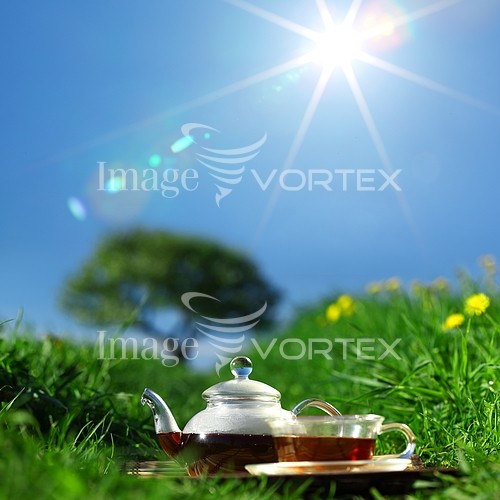 Food / drink royalty free stock image #348672542