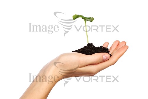 Industry / agriculture royalty free stock image #349140571