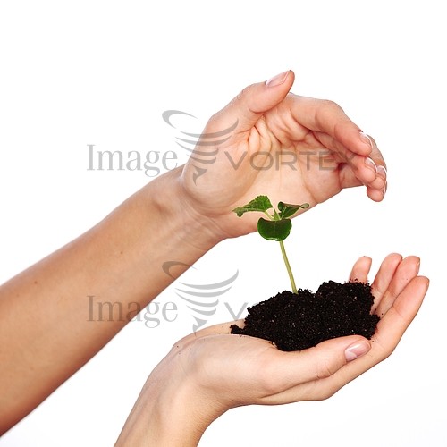 Industry / agriculture royalty free stock image #349161832