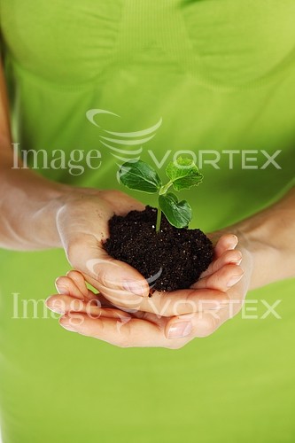 Industry / agriculture royalty free stock image #349177544