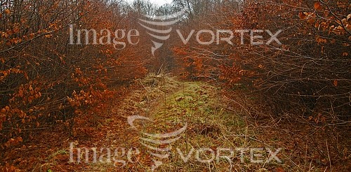 Nature / landscape royalty free stock image #354236441