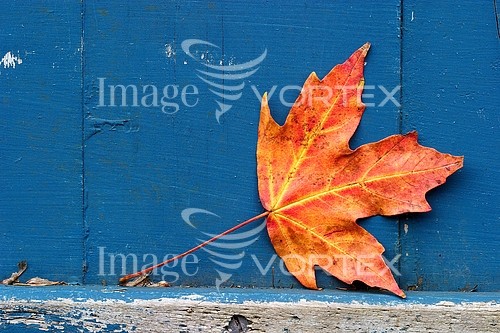 Background / texture royalty free stock image #354397822