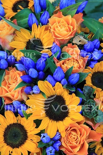 Flower royalty free stock image #356873635