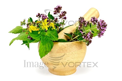 Flower royalty free stock image #357735338