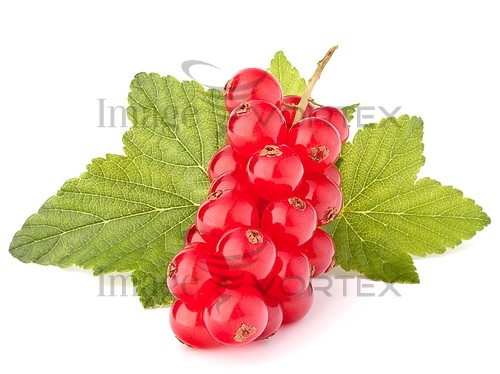 Food / drink royalty free stock image #358643980