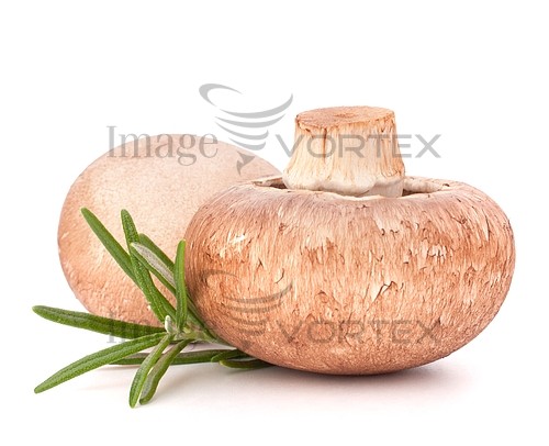 Food / drink royalty free stock image #359592078