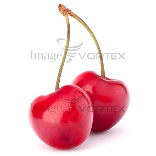 Food / drink royalty free stock image #359763290