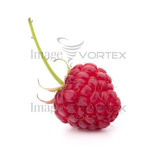 Food / drink royalty free stock image #359987491