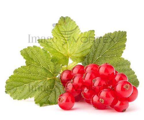 Food / drink royalty free stock image #359917966