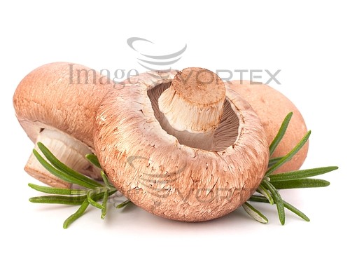 Food / drink royalty free stock image #362640645