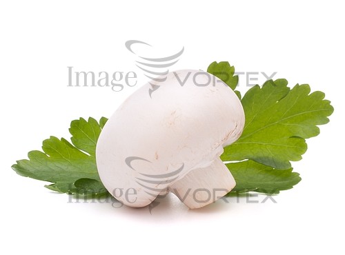 Food / drink royalty free stock image #363740936