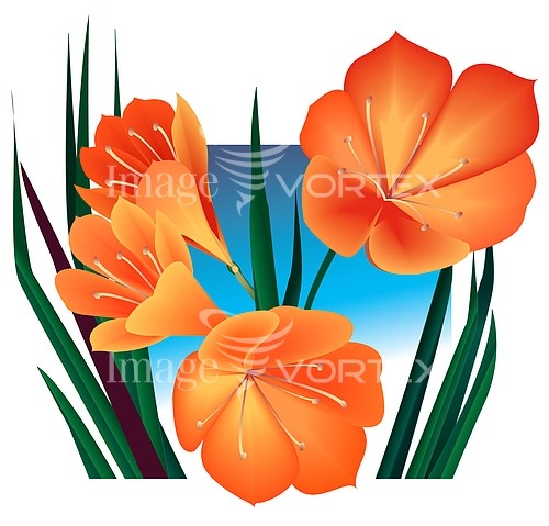 Flower royalty free stock image #369681607