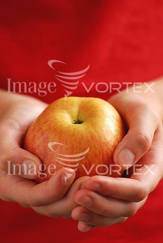 Food / drink royalty free stock image #371596607