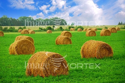 Industry / agriculture royalty free stock image #371455257