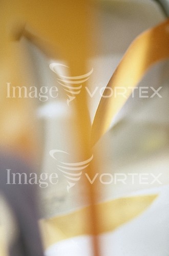 Background / texture royalty free stock image #371672428