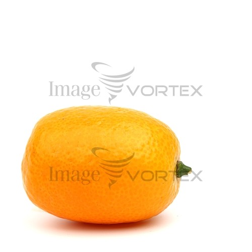 Food / drink royalty free stock image #372622640