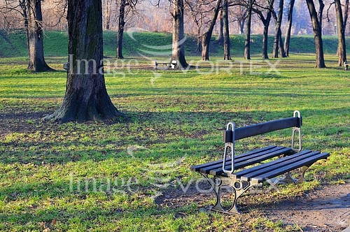 Park / outdoor royalty free stock image #372049870
