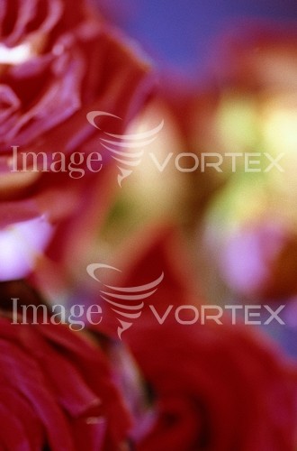 Background / texture royalty free stock image #372130360