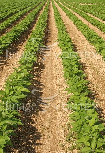 Industry / agriculture royalty free stock image #373696925