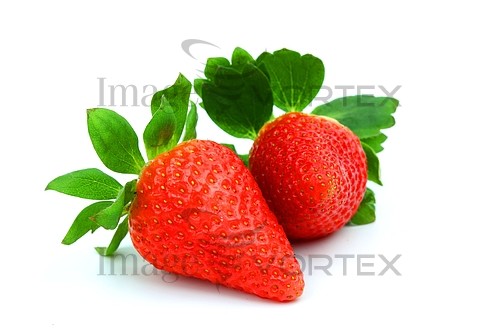 Food / drink royalty free stock image #373670286