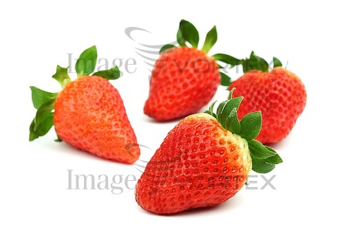 Food / drink royalty free stock image #373723157