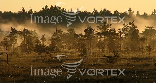 Nature / landscape royalty free stock image #373842869