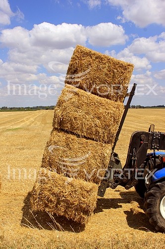 Industry / agriculture royalty free stock image #374426048