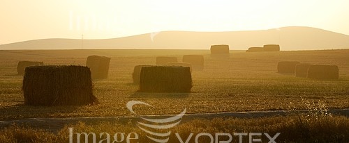 Industry / agriculture royalty free stock image #374242755