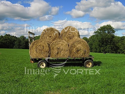 Industry / agriculture royalty free stock image #375627545