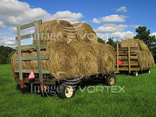 Industry / agriculture royalty free stock image #375633835