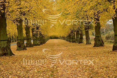 Park / outdoor royalty free stock image #377418792