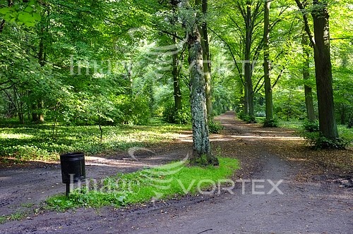 Park / outdoor royalty free stock image #377903161