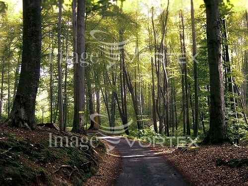 Park / outdoor royalty free stock image #379648388