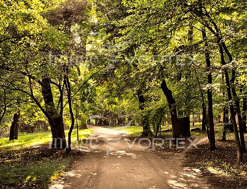 Park / outdoor royalty free stock image #379568266