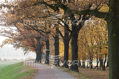 Park / outdoor royalty free stock image #382881792