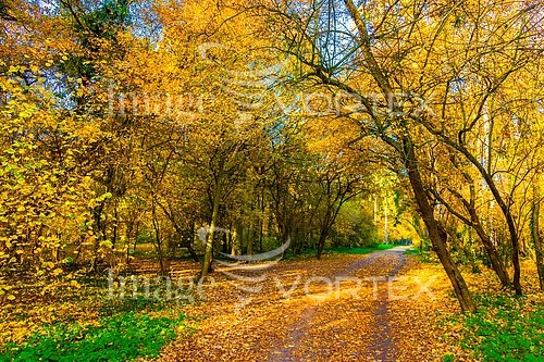 Park / outdoor royalty free stock image #382908354