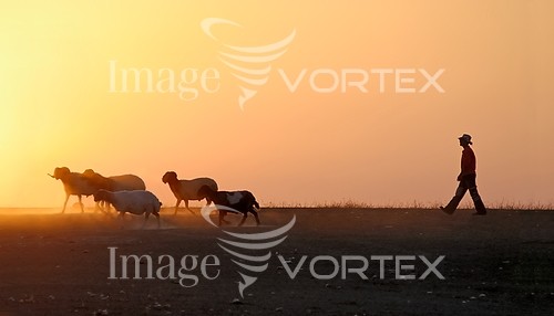 Industry / agriculture royalty free stock image #387628703
