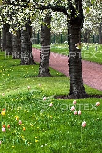 Park / outdoor royalty free stock image #389423244