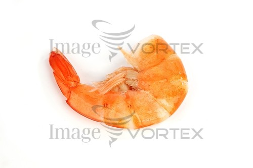Food / drink royalty free stock image #390947788
