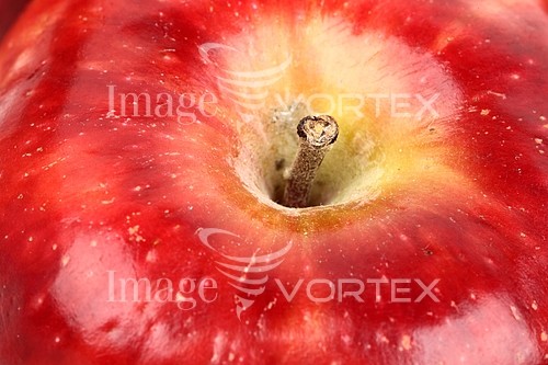 Food / drink royalty free stock image #391938568