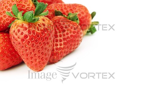Food / drink royalty free stock image #392306120