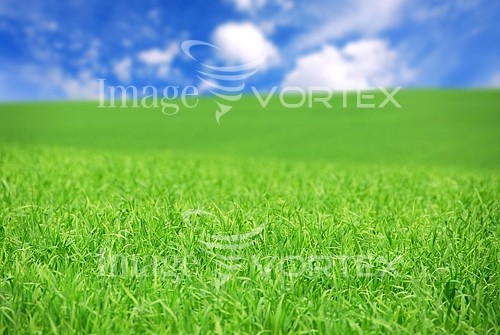 Industry / agriculture royalty free stock image #394531884