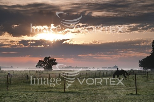 Sunset / sunrise royalty free stock image #394720413