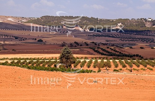 Industry / agriculture royalty free stock image #395147132