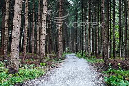 Park / outdoor royalty free stock image #395592230