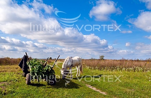 Industry / agriculture royalty free stock image #395188193