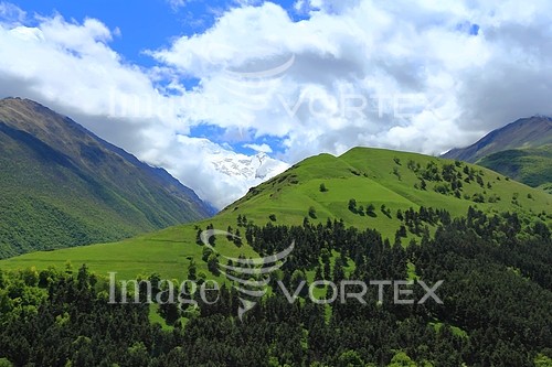 Nature / landscape royalty free stock image #397679428