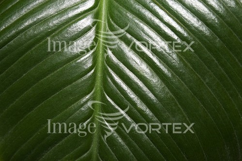Background / texture royalty free stock image #398005437